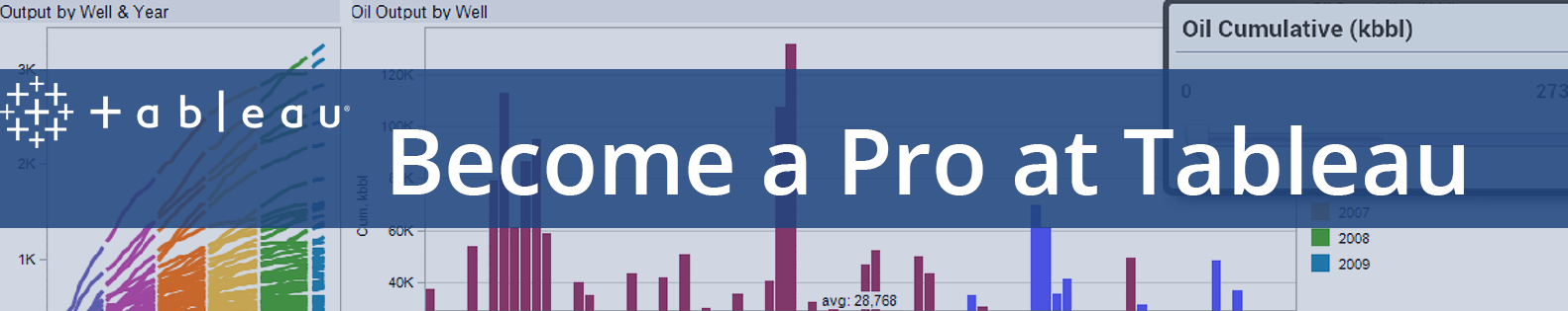 Become a Pro, Learn Tableau!